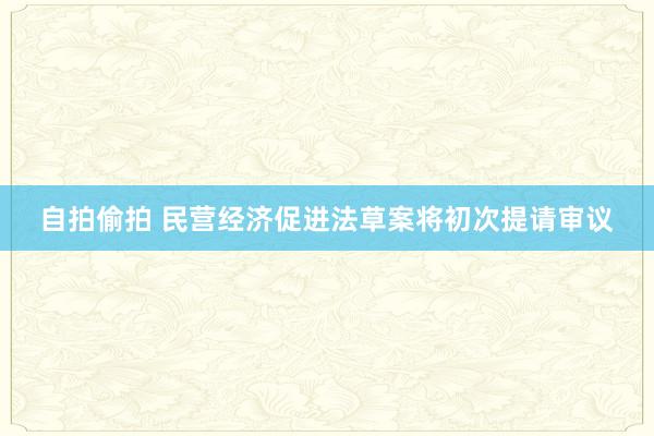 自拍偷拍 民营经济促进法草案将初次提请审议