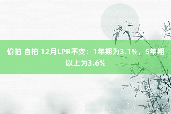 偷拍 自拍 12月LPR不变：1年期为3.1%，5年期以上为3.6%