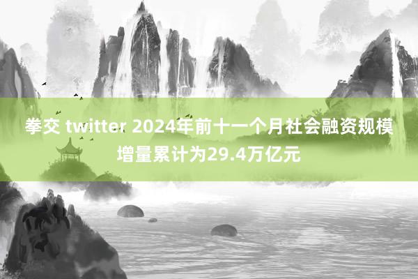 拳交 twitter 2024年前十一个月社会融资规模增量累计为29.4万亿元