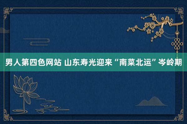 男人第四色网站 山东寿光迎来“南菜北运”岑岭期