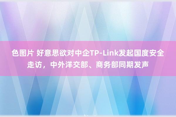 色图片 好意思欲对中企TP-Link发起国度安全走访，中外洋交部、商务部同期发声