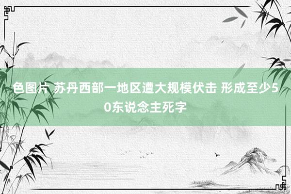 色图片 苏丹西部一地区遭大规模伏击 形成至少50东说念主死字