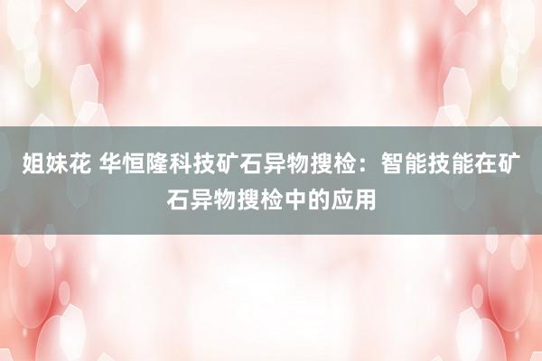 姐妹花 华恒隆科技矿石异物搜检：智能技能在矿石异物搜检中的应用