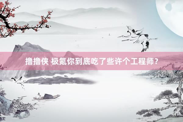 撸撸侠 极氪你到底吃了些许个工程师？