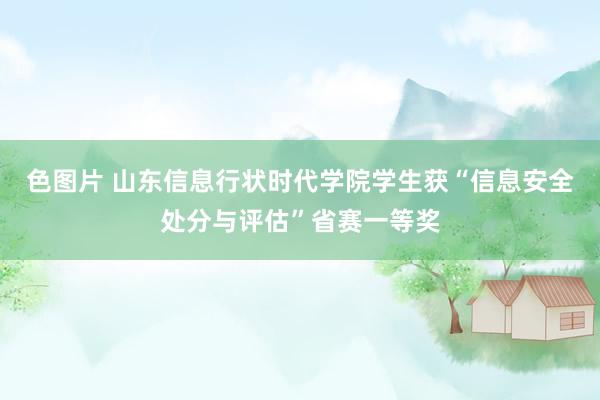 色图片 山东信息行状时代学院学生获“信息安全处分与评估”省赛一等奖