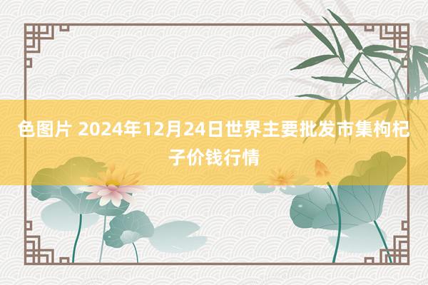 色图片 2024年12月24日世界主要批发市集枸杞子价钱行情