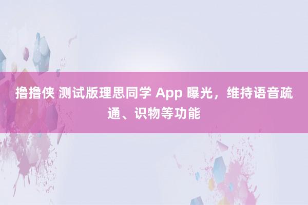 撸撸侠 测试版理思同学 App 曝光，维持语音疏通、识物等功能