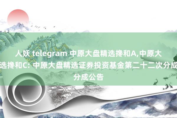 人妖 telegram 中原大盘精选搀和A,中原大盘精选搀和C: 中原大盘精选证券投资基金第二十二次分成公告