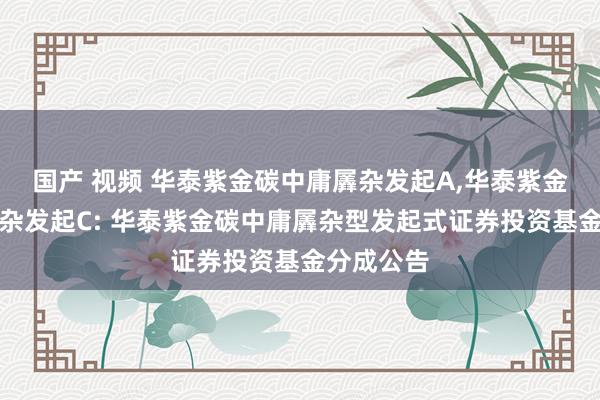 国产 视频 华泰紫金碳中庸羼杂发起A,华泰紫金碳中庸羼杂发起C: 华泰紫金碳中庸羼杂型发起式证券投资基金分成公告