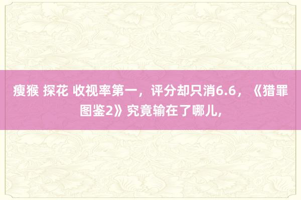 瘦猴 探花 收视率第一，评分却只消6.6，《猎罪图鉴2》究竟输在了哪儿，