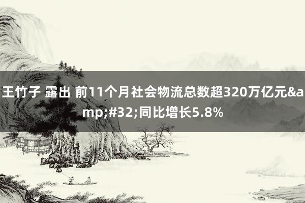 王竹子 露出 前11个月社会物流总数超320万亿元&#32;同比增长5.8%