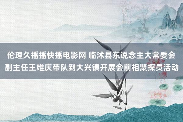 伦理久播播快播电影网 临沭县东说念主大常委会副主任王维庆带队到大兴镇开展会前相聚探员活动