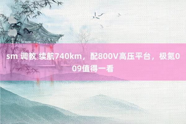 sm 调教 续航740km，配800V高压平台，极氪009值得一看