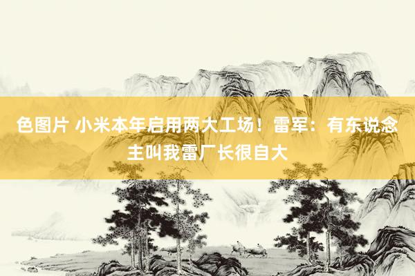 色图片 小米本年启用两大工场！雷军：有东说念主叫我雷厂长很自大