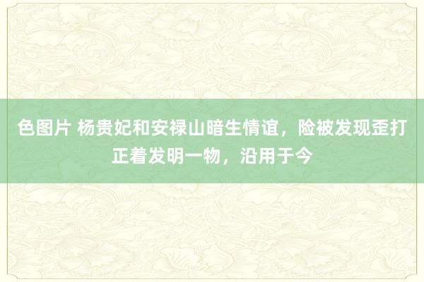 色图片 杨贵妃和安禄山暗生情谊，险被发现歪打正着发明一物，沿用于今