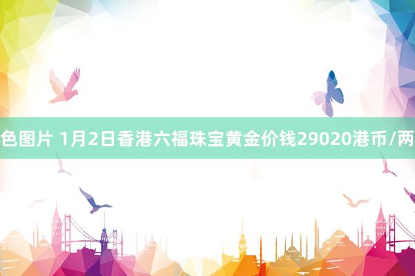 色图片 1月2日香港六福珠宝黄金价钱29020港币/两