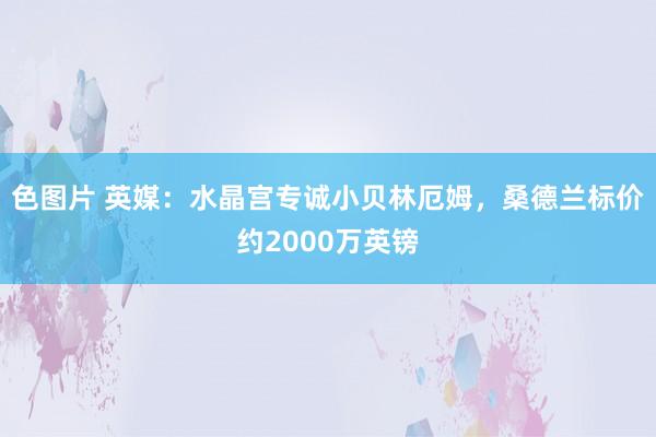 色图片 英媒：水晶宫专诚小贝林厄姆，桑德兰标价约2000万英镑