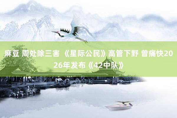 麻豆 周处除三害 《星际公民》高管下野 曾痛快2026年发布《42中队》