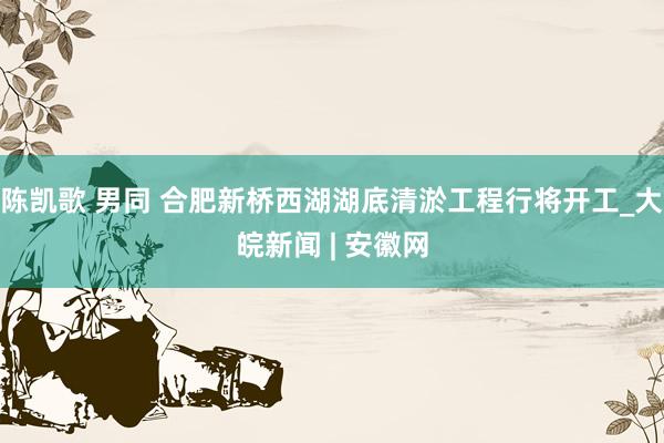 陈凯歌 男同 合肥新桥西湖湖底清淤工程行将开工_大皖新闻 | 安徽网