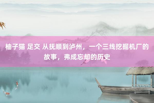 柚子猫 足交 从抚顺到泸州，一个三线挖掘机厂的故事，弗成忘却的历史