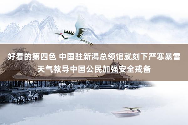 好看的第四色 中国驻新潟总领馆就刻下严寒暴雪天气教导中国公民加强安全戒备