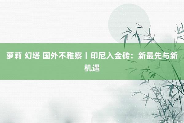 萝莉 幻塔 国外不雅察丨印尼入金砖：新最先与新机遇