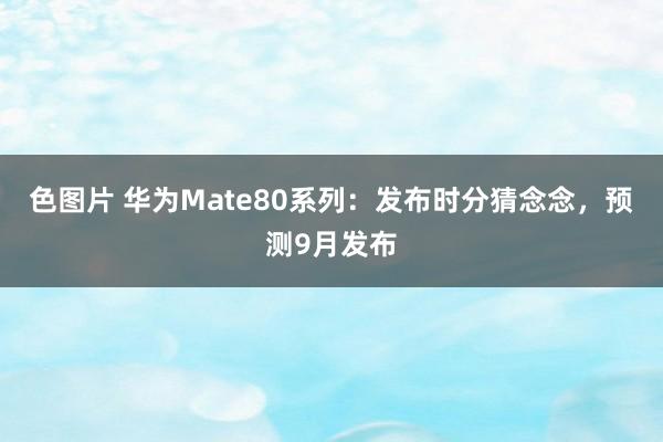 色图片 华为Mate80系列：发布时分猜念念，预测9月发布