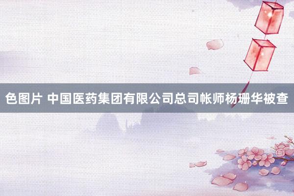 色图片 中国医药集团有限公司总司帐师杨珊华被查