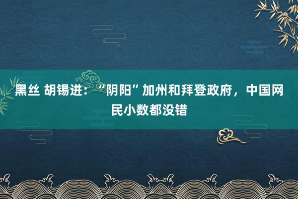 黑丝 胡锡进：“阴阳”加州和拜登政府，中国网民小数都没错