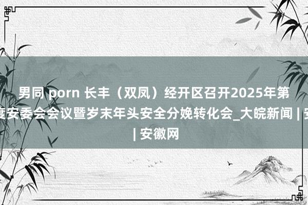 男同 porn 长丰（双凤）经开区召开2025年第一季度安委会会议暨岁末年头安全分娩转化会_大皖新闻 | 安徽网
