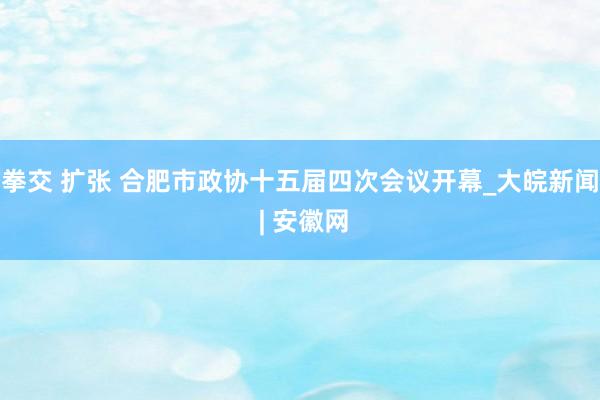 拳交 扩张 合肥市政协十五届四次会议开幕_大皖新闻 | 安徽网
