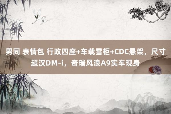男同 表情包 行政四座+车载雪柜+CDC悬架，尺寸超汉DM-i，奇瑞风浪A9实车现身