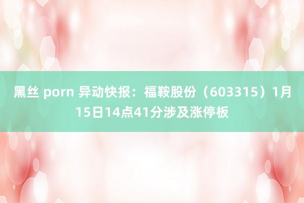 黑丝 porn 异动快报：福鞍股份（603315）1月15日14点41分涉及涨停板