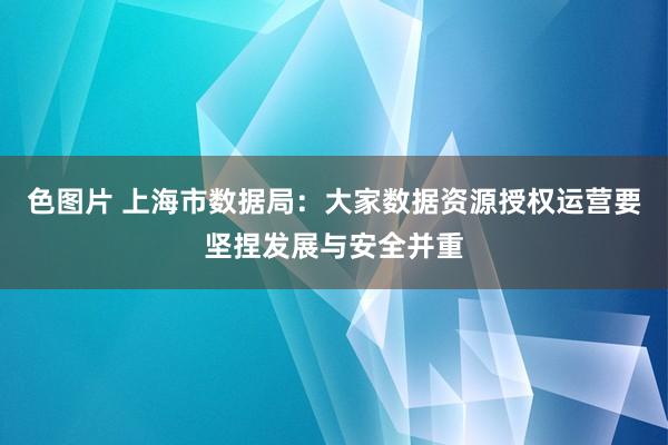 色图片 上海市数据局：大家数据资源授权运营要坚捏发展与安全并重