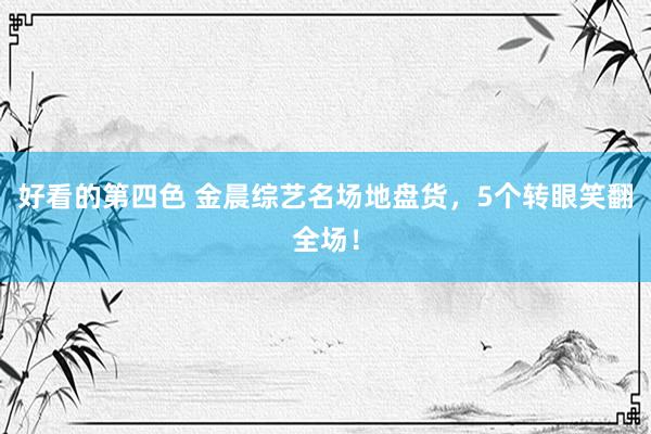 好看的第四色 金晨综艺名场地盘货，5个转眼笑翻全场！