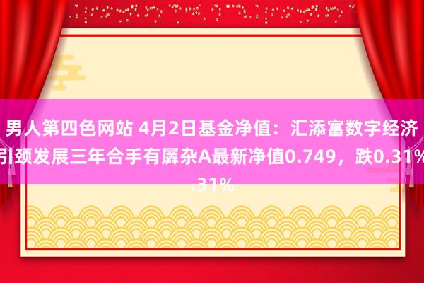 男人第四色网站 4月2日基金净值：汇添富数字经济引颈发展三年合手有羼杂A最新净值0.749，跌0.31%