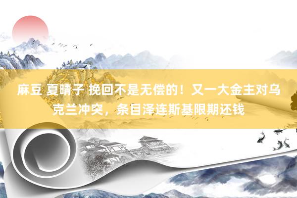 麻豆 夏晴子 挽回不是无偿的！又一大金主对乌克兰冲突，条目泽连斯基限期还钱