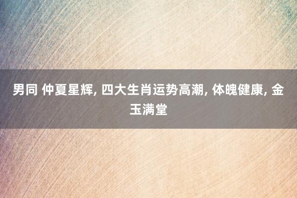 男同 仲夏星辉， 四大生肖运势高潮， 体魄健康， 金玉满堂
